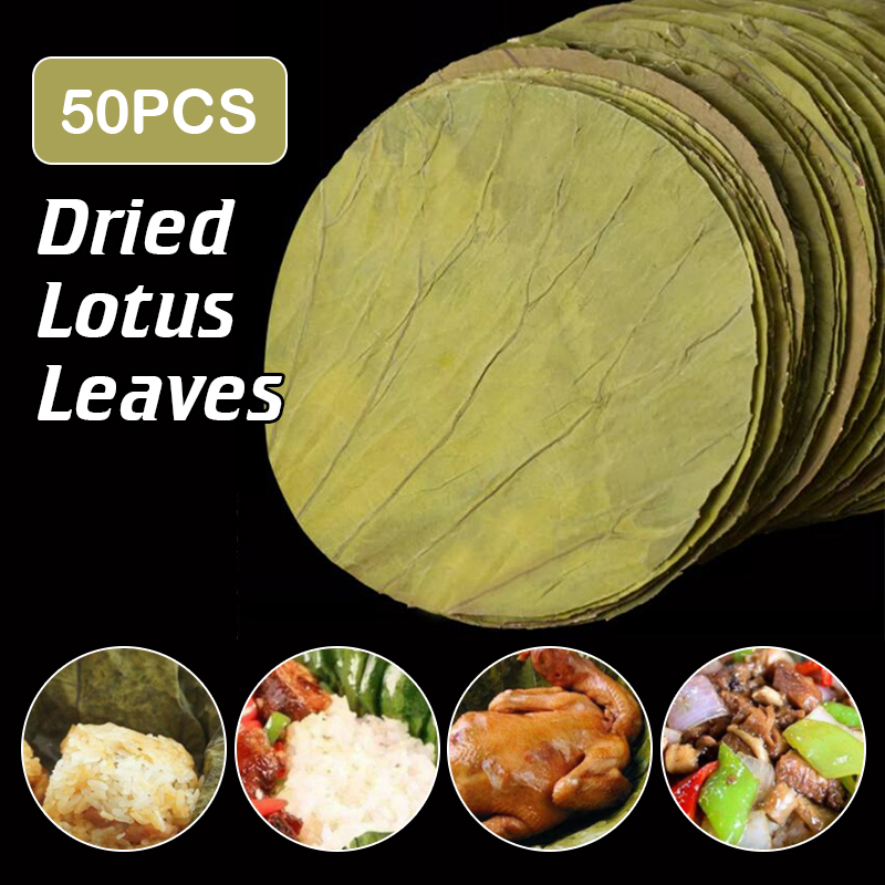 50 sztuk 22cm duże naturalne s – Home Cooking Recipes recenzja i cena